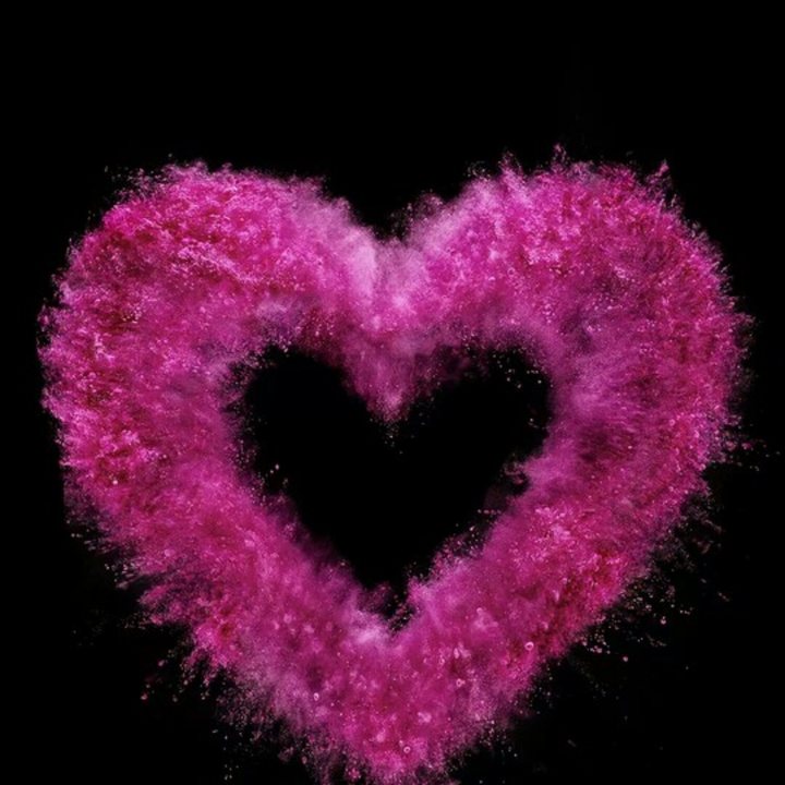 Heart