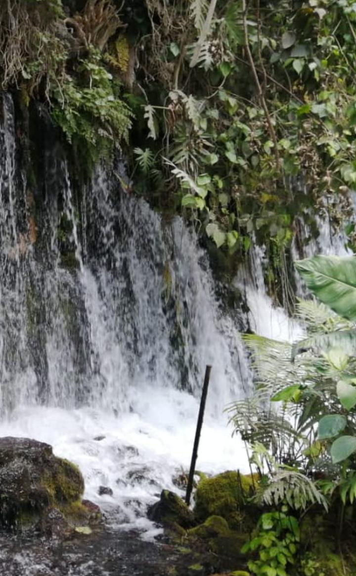 agua