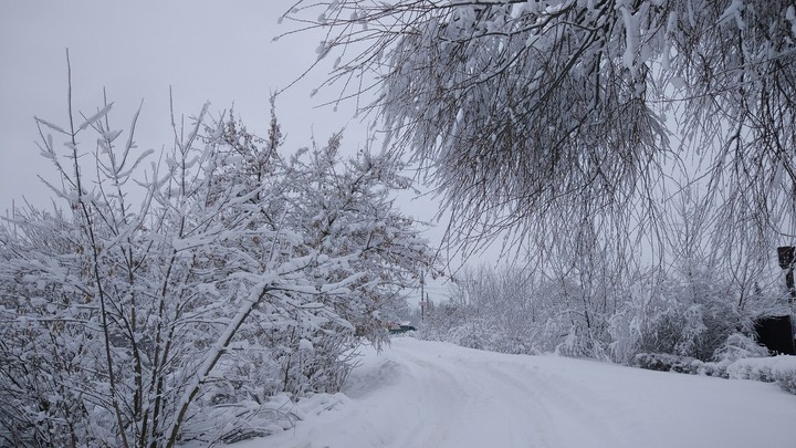 Winter tale