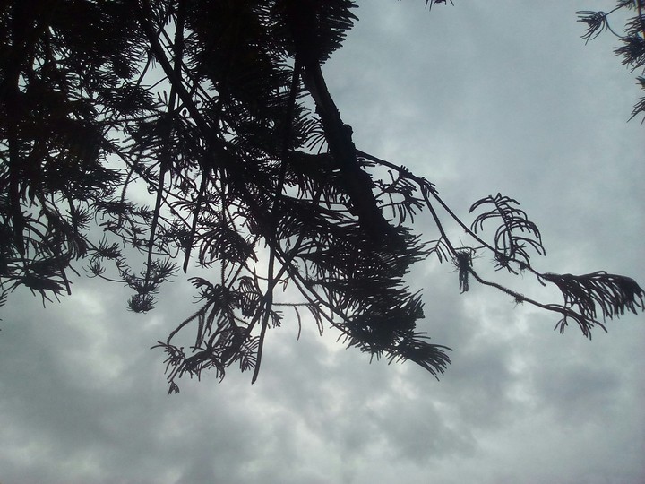 Cloudy Day