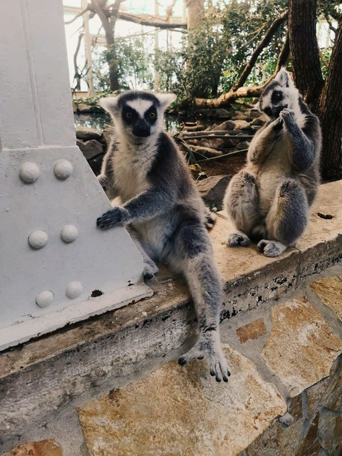 cute