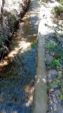 mi antiguo hogar