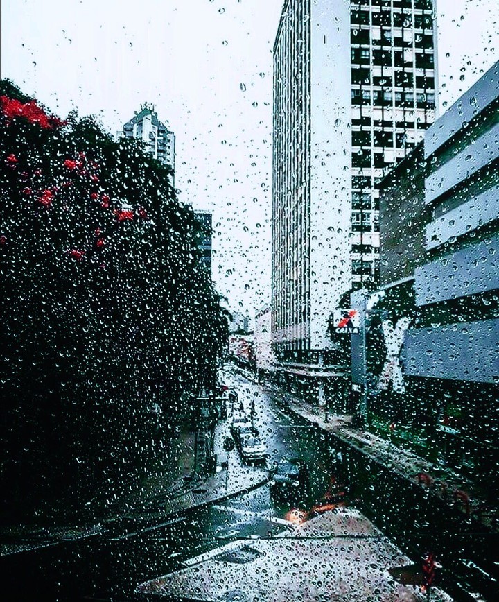 Curitiba, Paraná, Brasil 