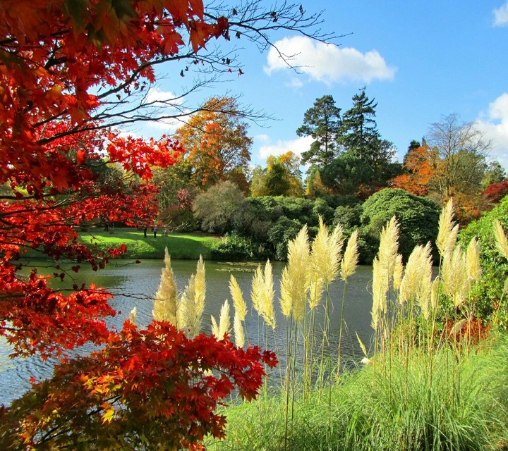 Quiet place