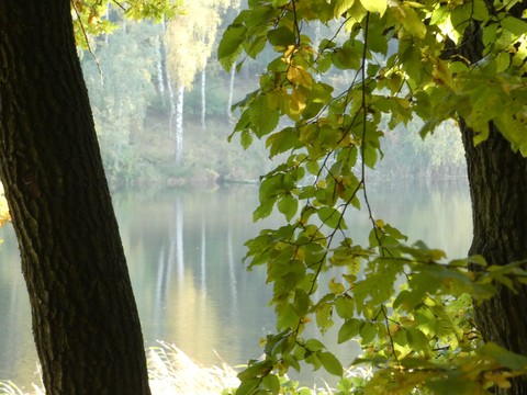 autumn