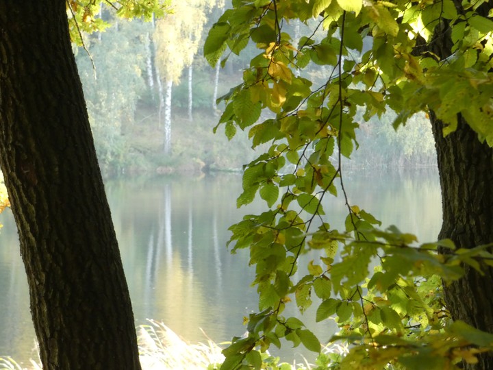 autumn