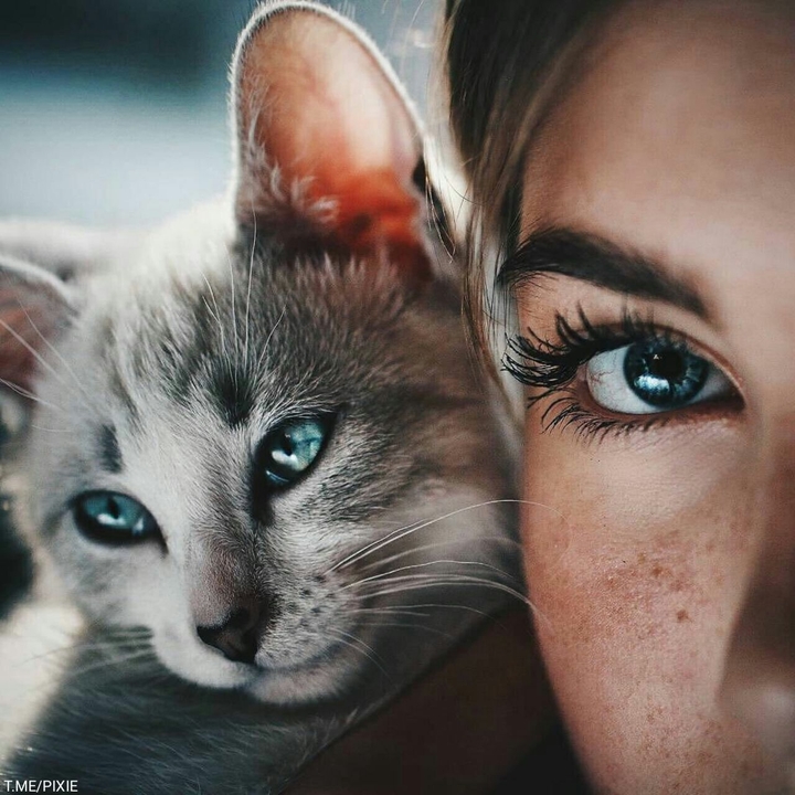 Synonym eyes