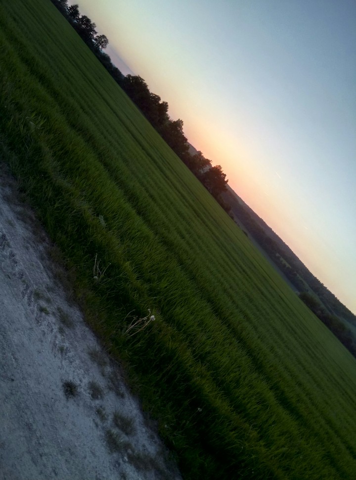 sunset