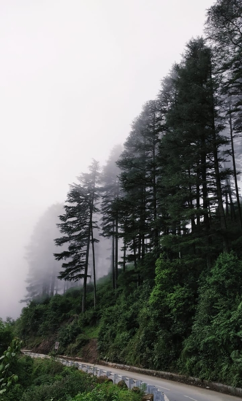 cloudy mountain
