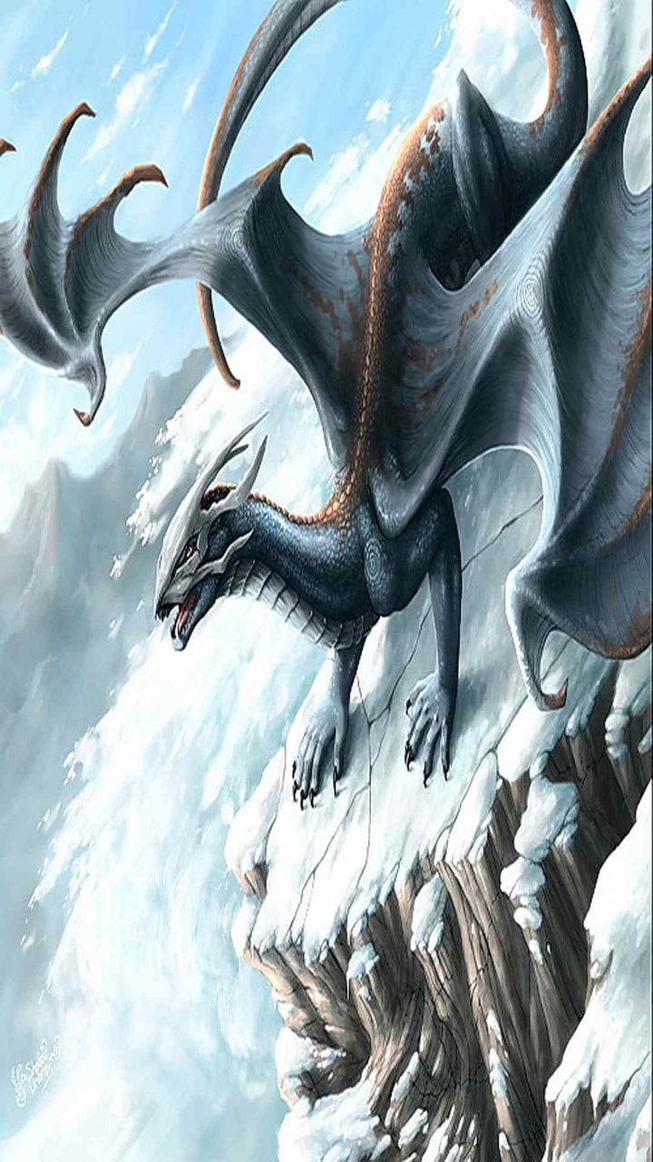 The snow dragon