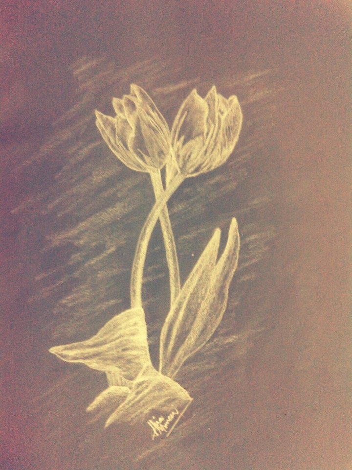 sketch