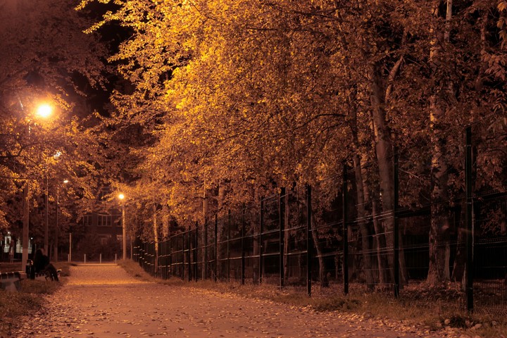 autumn