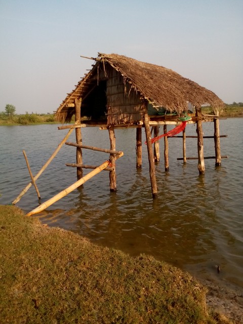 sundarban...
