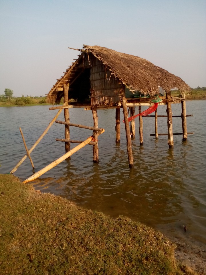 sundarban...
