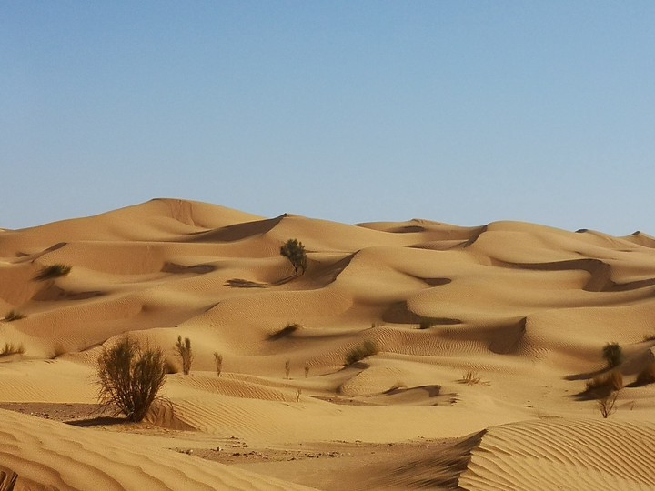 #Sahara #Tunisia