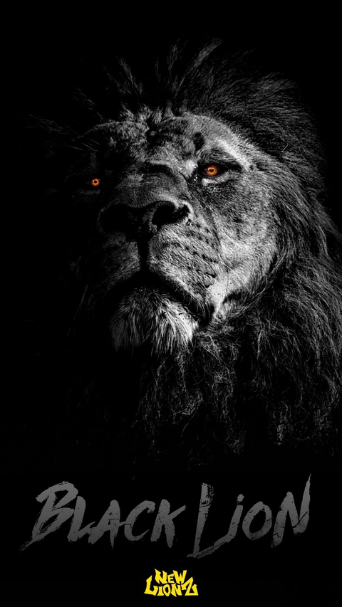 grey, black wallpapers