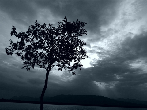 Nature love