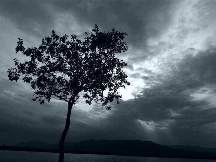 Nature love