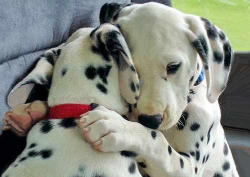 soooo cute