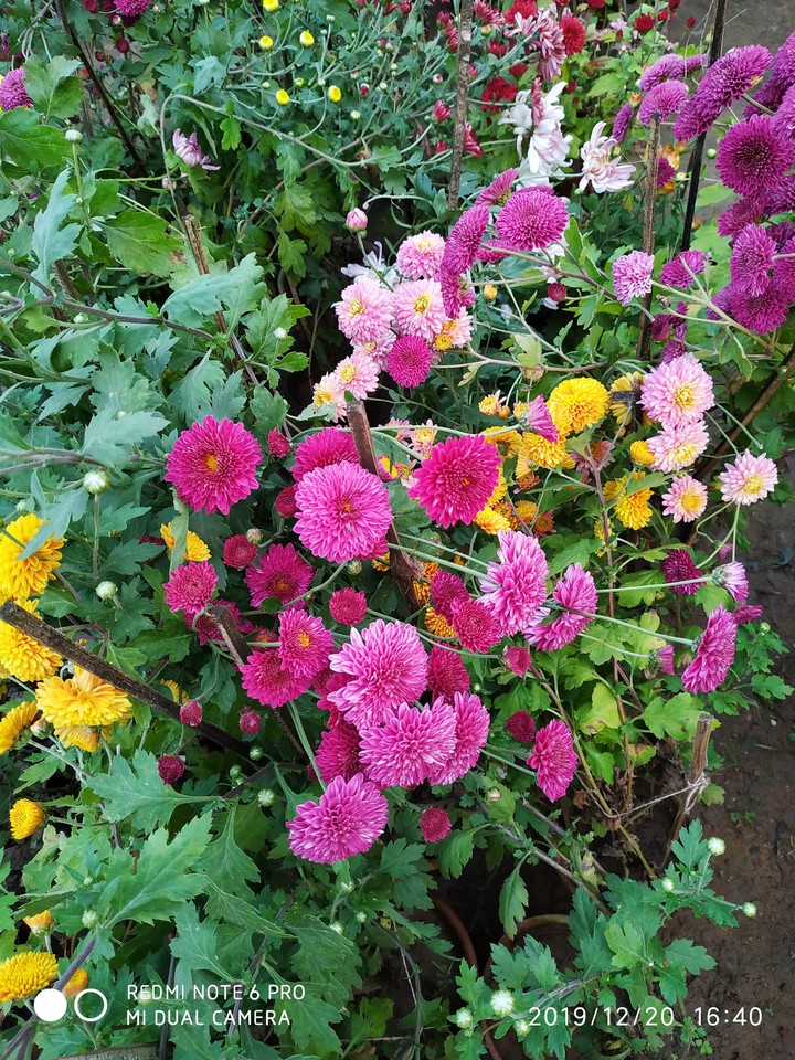Nursery