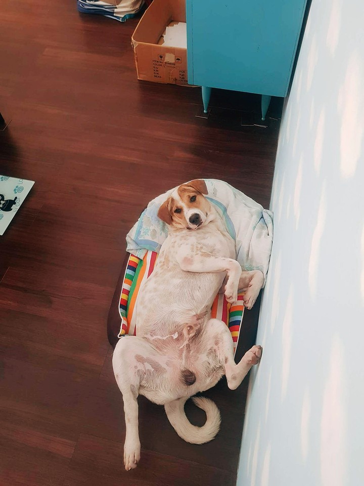 It's not fit for meee (︶︹︺)