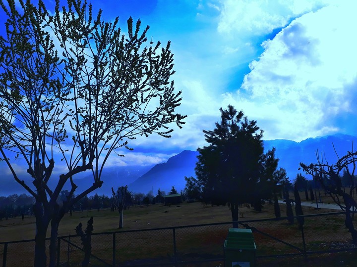 University of kashmir