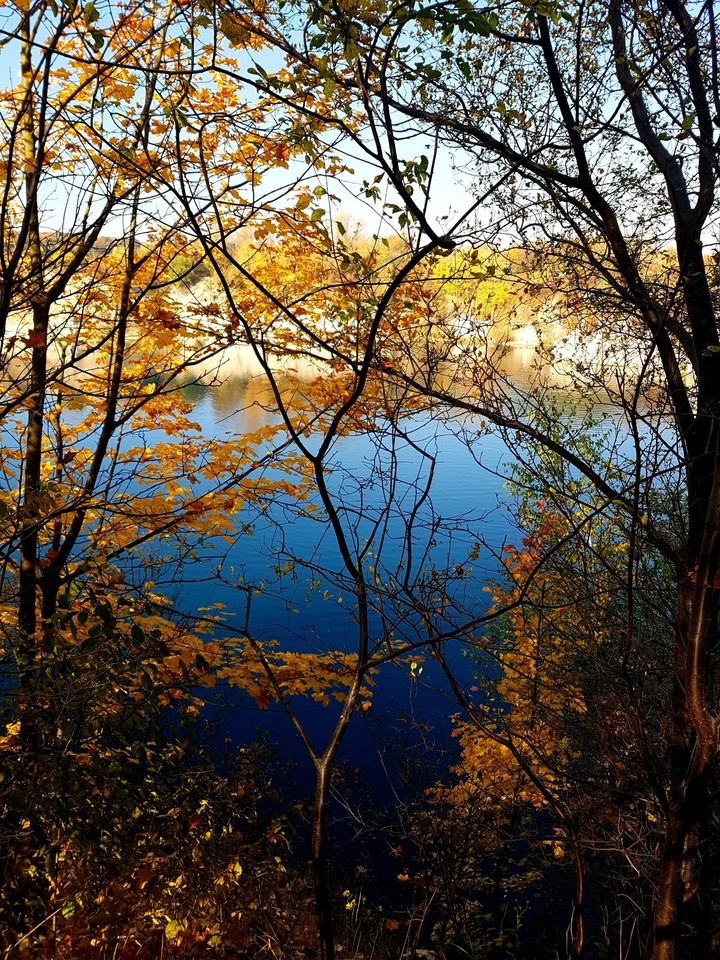 Autumn