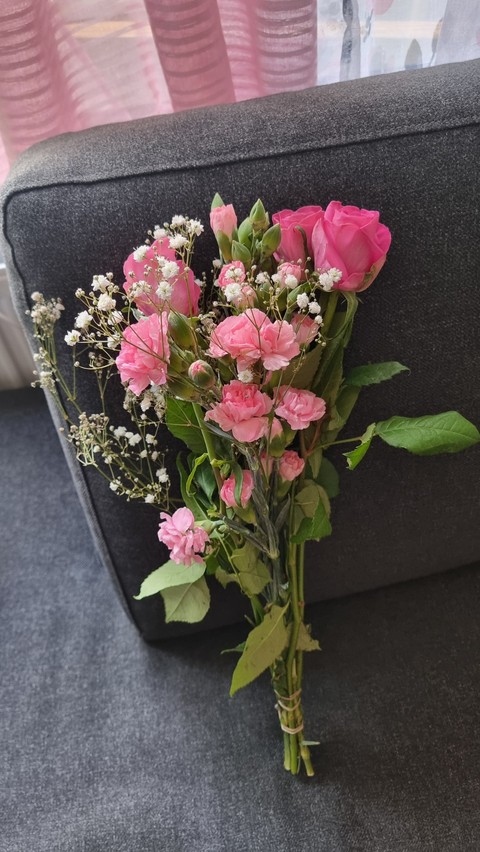 обои flower, pink