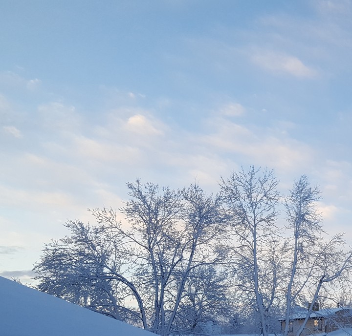 Winter Morning