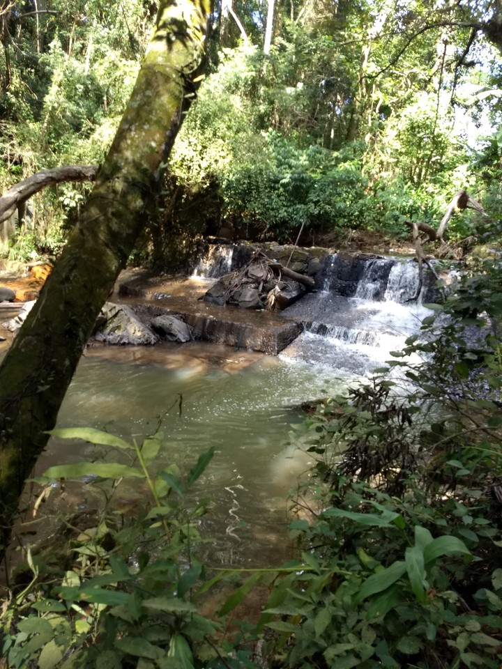 Trilha ecológica