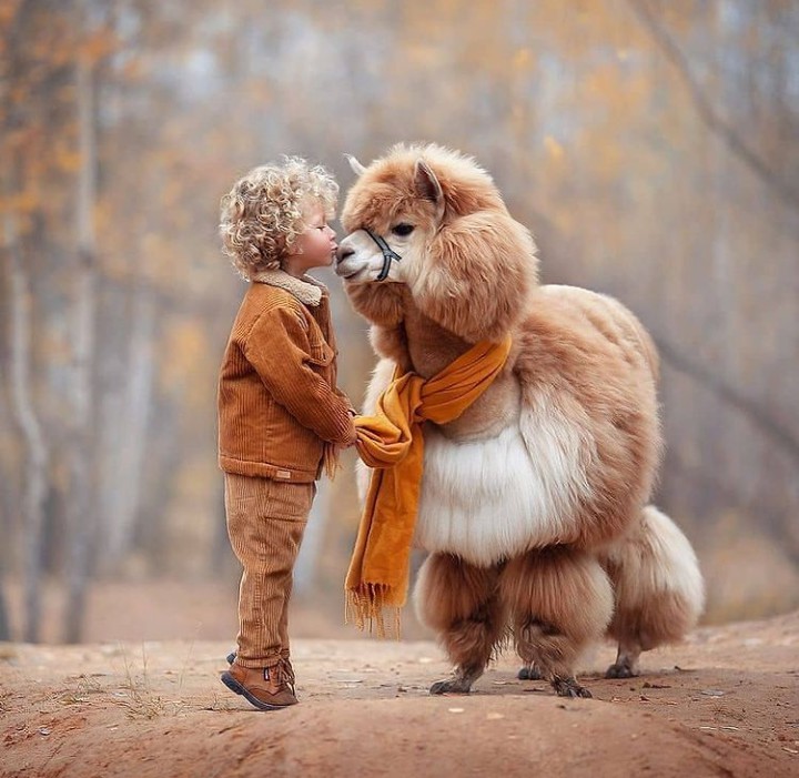 Pure Bond❤️