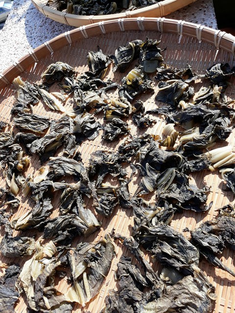 Pickles 曬鹹菜