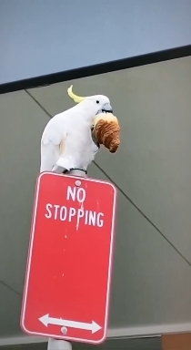 .