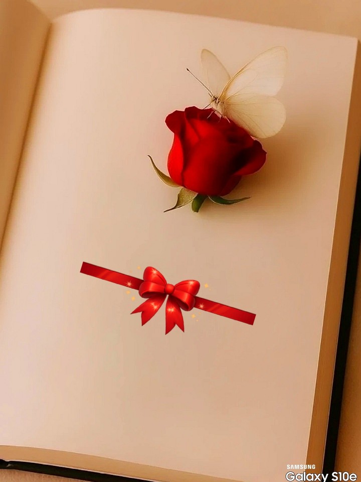Y❤️  ?