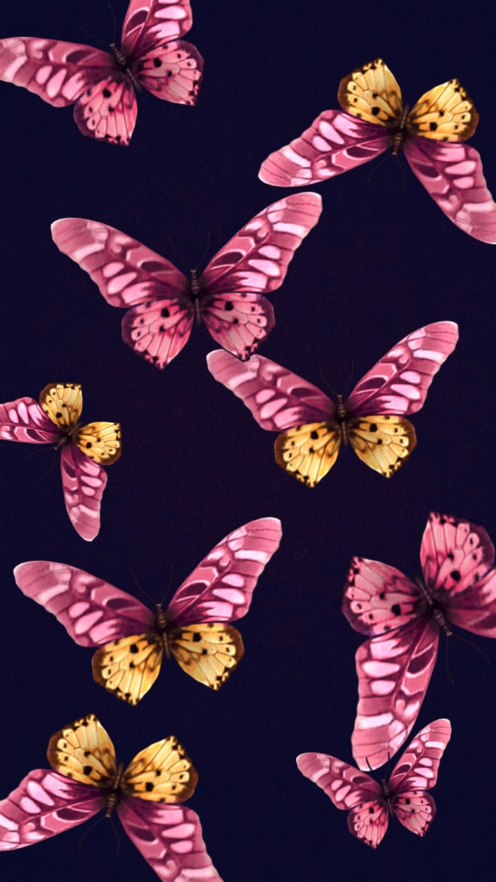 butterflies