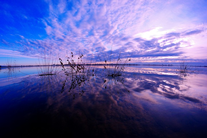 渡良瀬遊水地の冬の朝