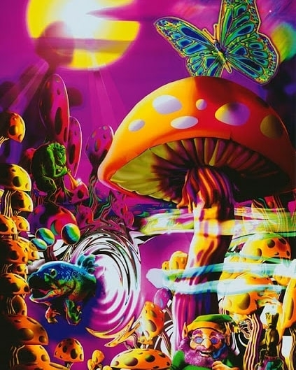 alice in wonder land
