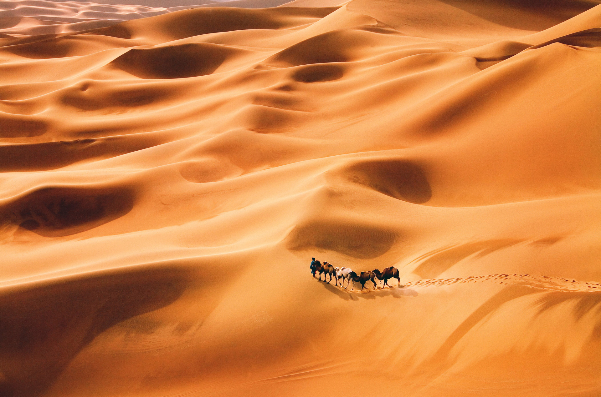 Desert