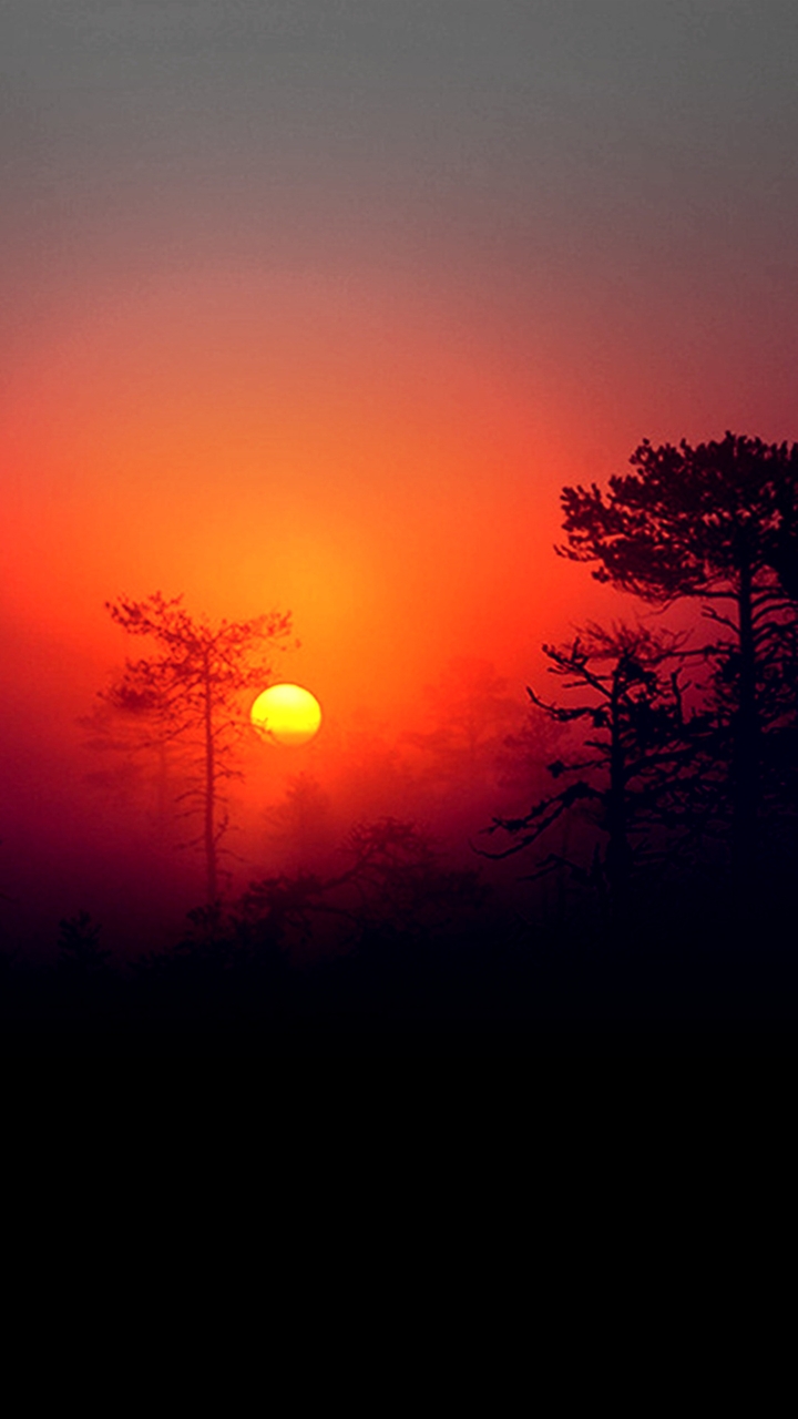 a Misty sunset