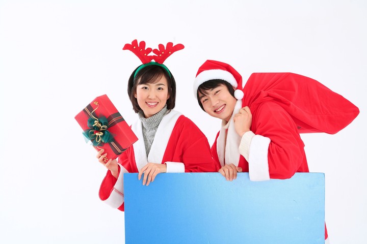 Christmas Costume