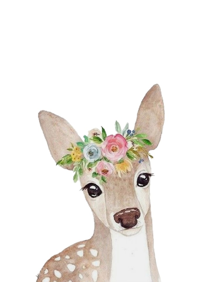 bambi