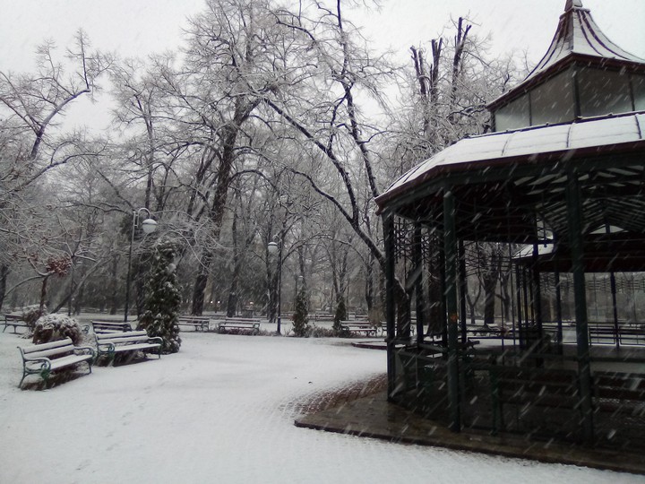 snow