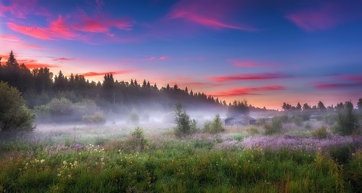 Nature's Beauty