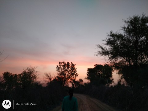 orange sky