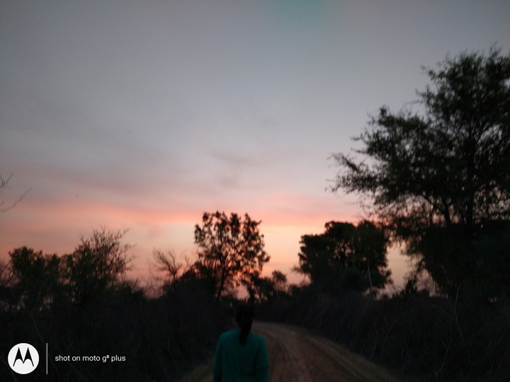 orange sky