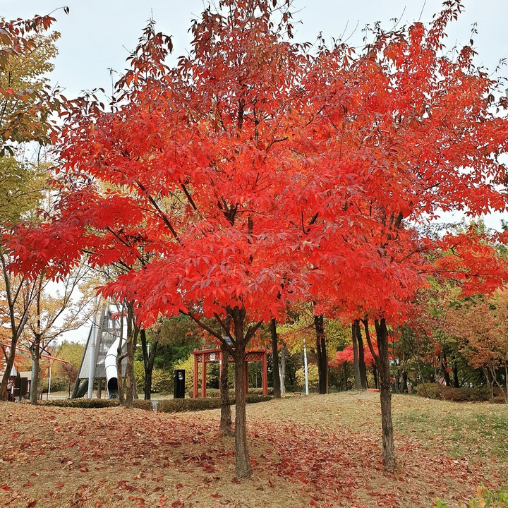색칠 하느라 빡셈!