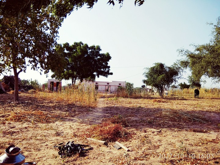 My home