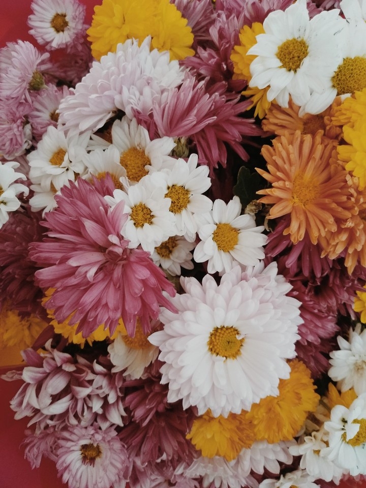 осень