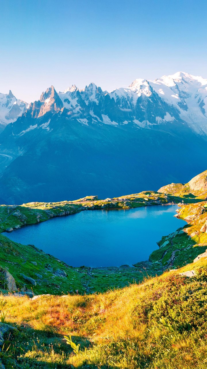 Nature