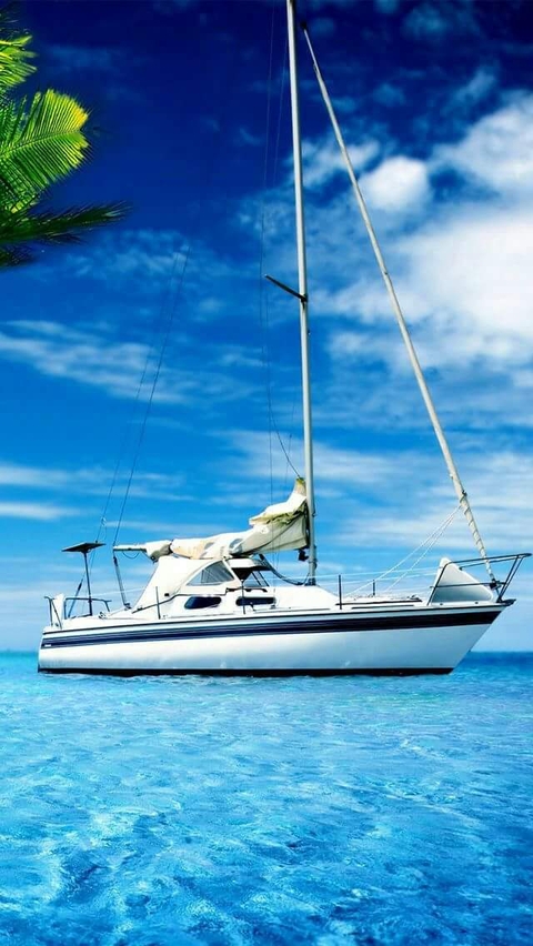 paradis
